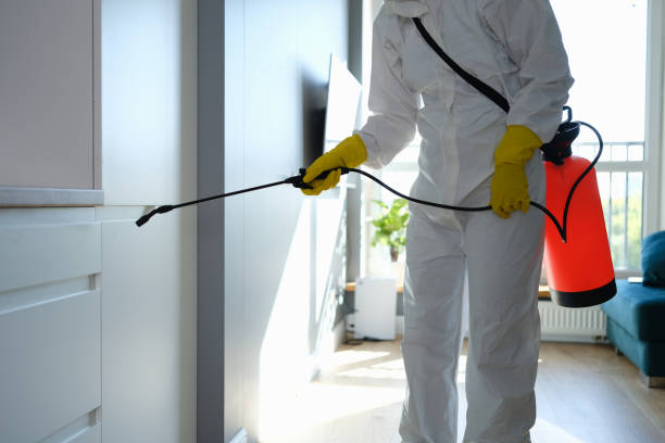 Best Industrial Mold Remediation  in Hudson, MI